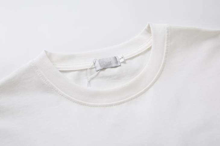 Dior T Shirts Short _SKUDiorS-XL8qx100415800